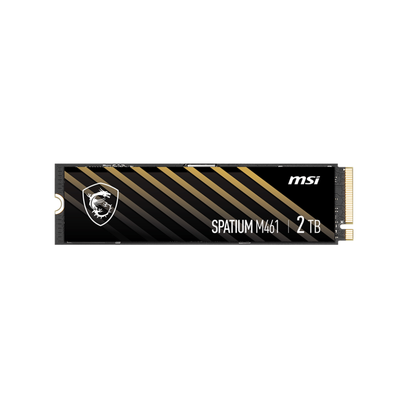Твердотельный накопитель MSI SSD SPATIUM M461, 2 ТБ, 3D NAND, чтение 5000 МБ/с, 450 ТБ
