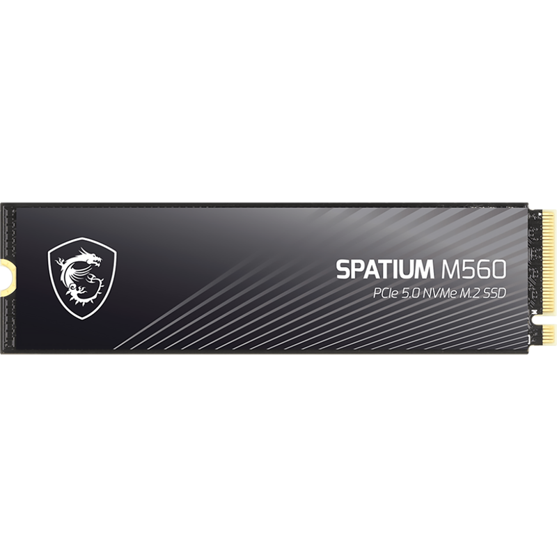 Твердотельный накопитель MSI SSD SPATIUM M560, 2 ТБ, 3D TLC, чтение 10300 МБ/с, 1200 ТБ