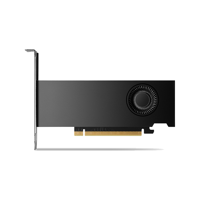 Видеокарта Nvidia RTX 2000 Ada PCIe, 16 ГБ видеопамяти, GDDR6, PCI Express 4.0