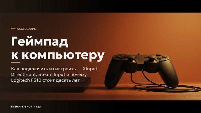 Геймпад к компьютеру: как подключить и настроить — XInput, DirectInput, Steam Input и почему Logitech F310 стоит десять лет